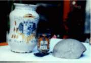 human scull and "castor"